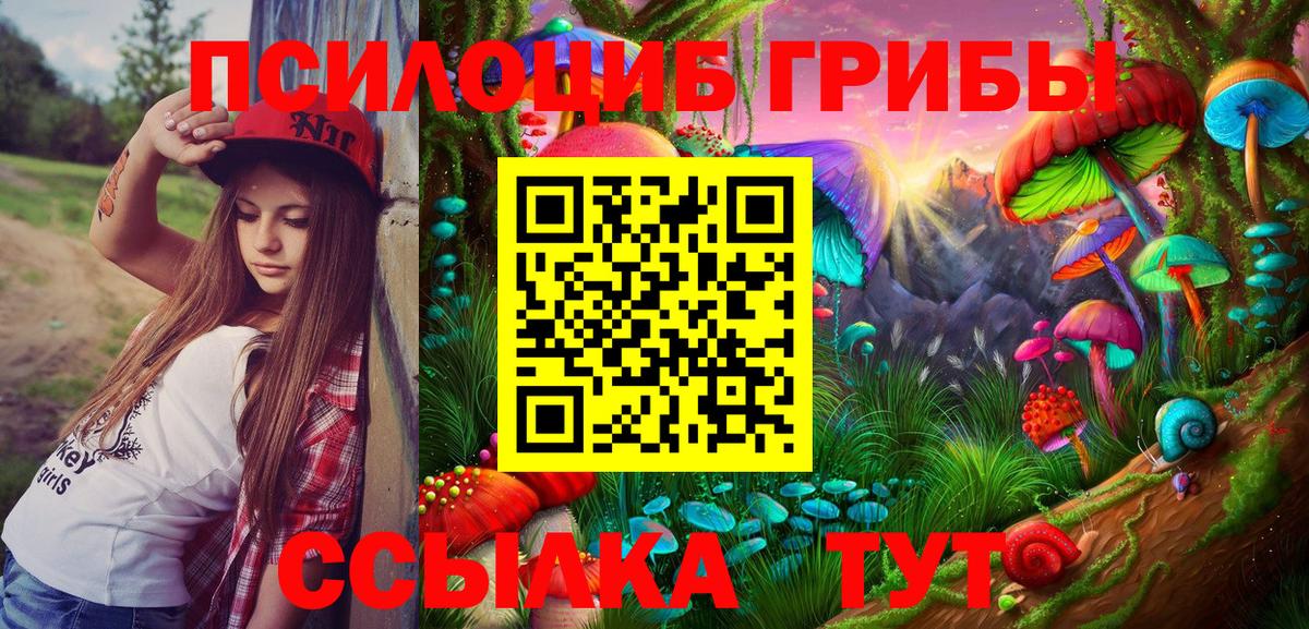 Кизилюрт  Галлюциногенные грибы ЛСД  Вход с VPN 